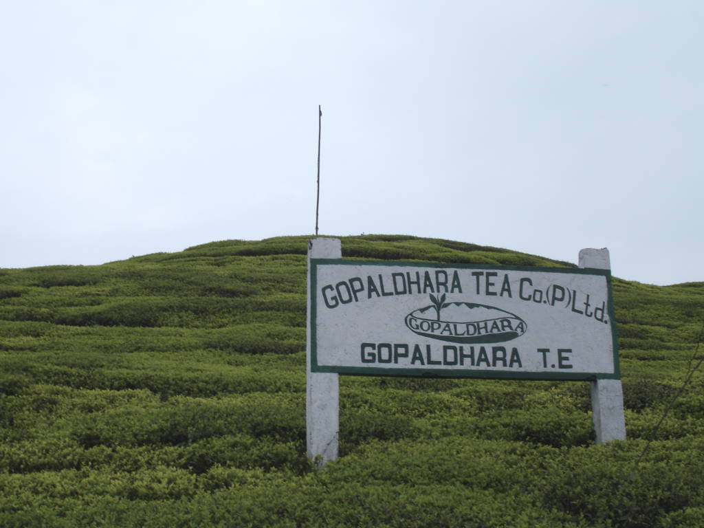 Gopaldhara T.E