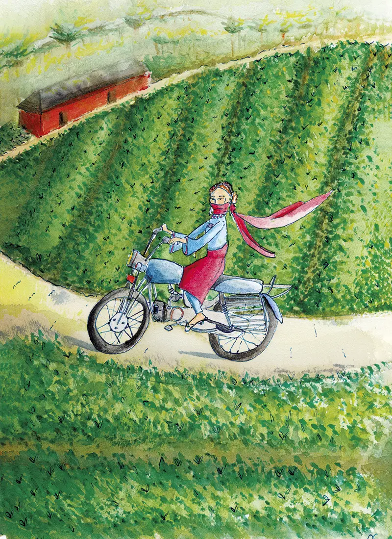 La Princesse des Collines - Image 3
